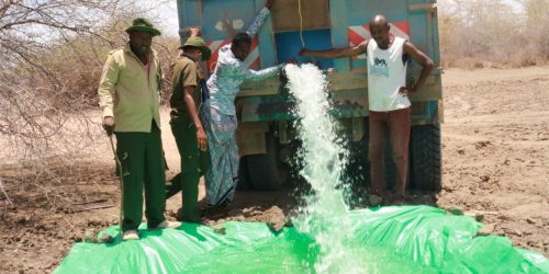 WhatsApp Image 2025-10-18 at 08.55.30