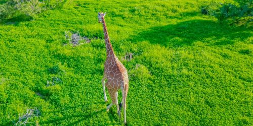 WhatsApp Image 2025-10-18 at 08.55.34 (1)